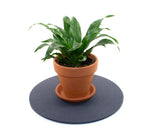 10" Round Wool Felt Trivet 5mm Thick